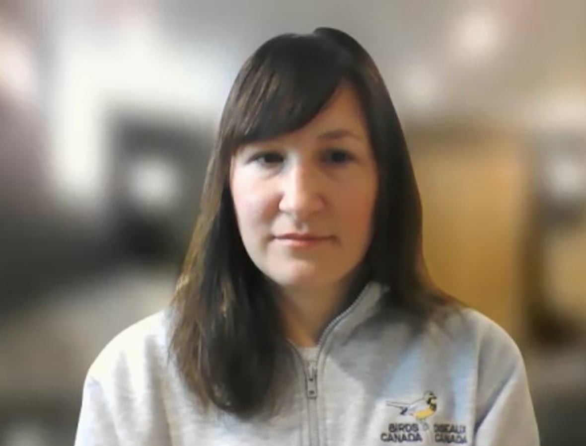 allison-manthorne A Zoom screenshot of a woman with brown hair. She is wearing a grey Birds Canada sweater and has a blurry background.