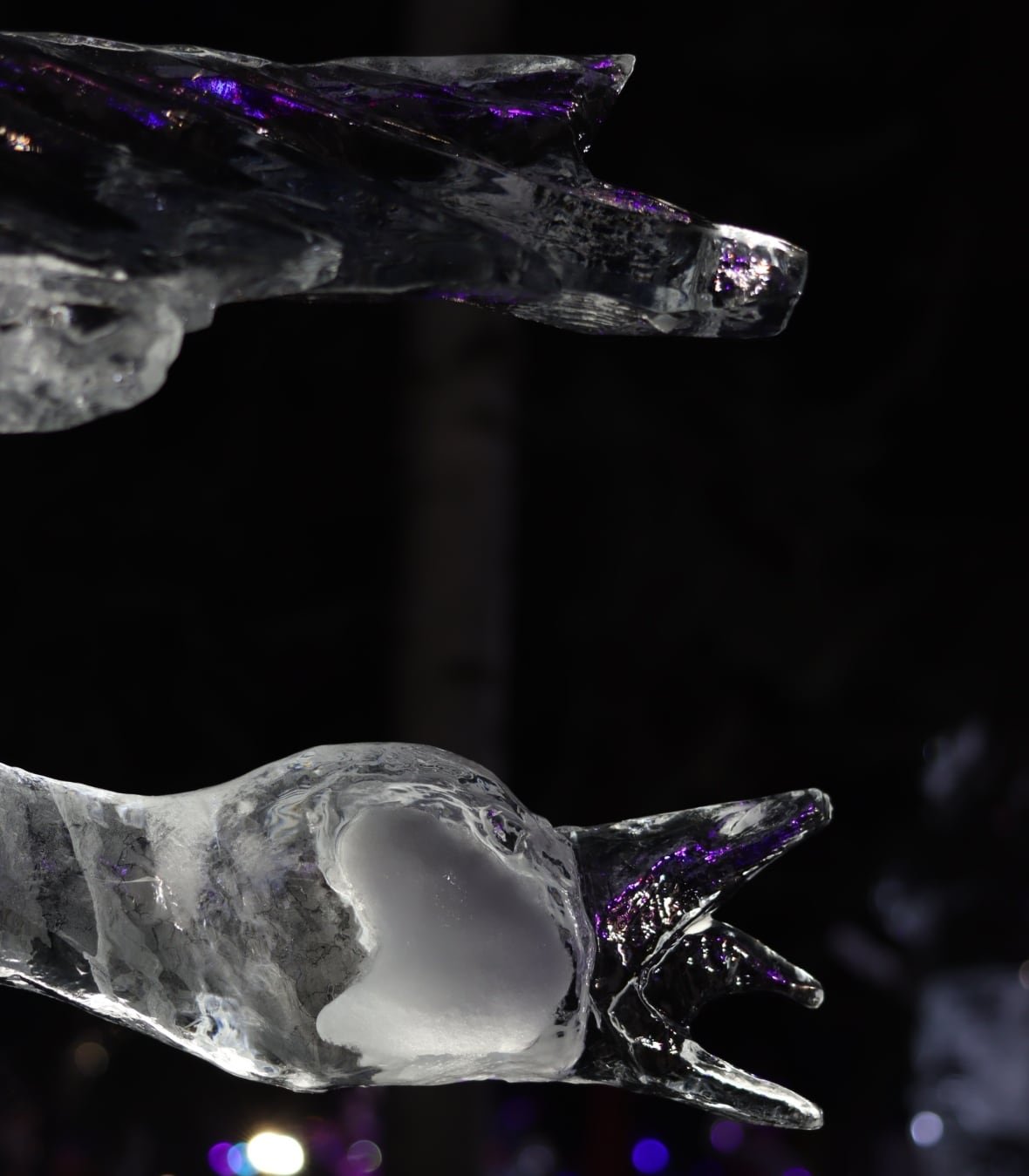 ice-goose Closeup of the head of a Canada goose carved in ice.