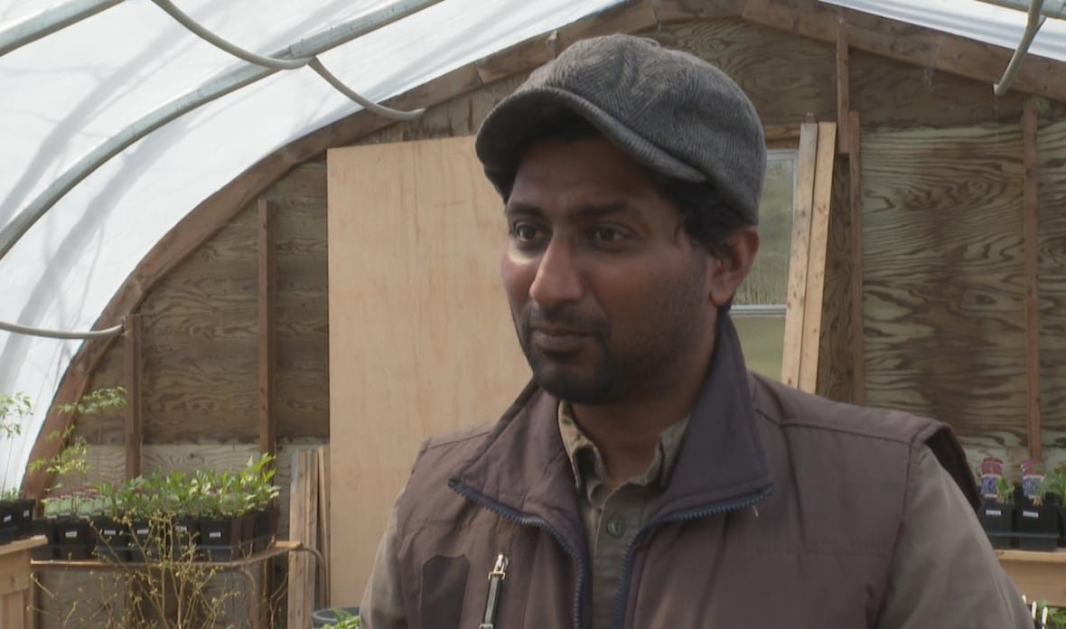 kaushal-rathnayake Man stands in a greenhouse speaking to a reporter