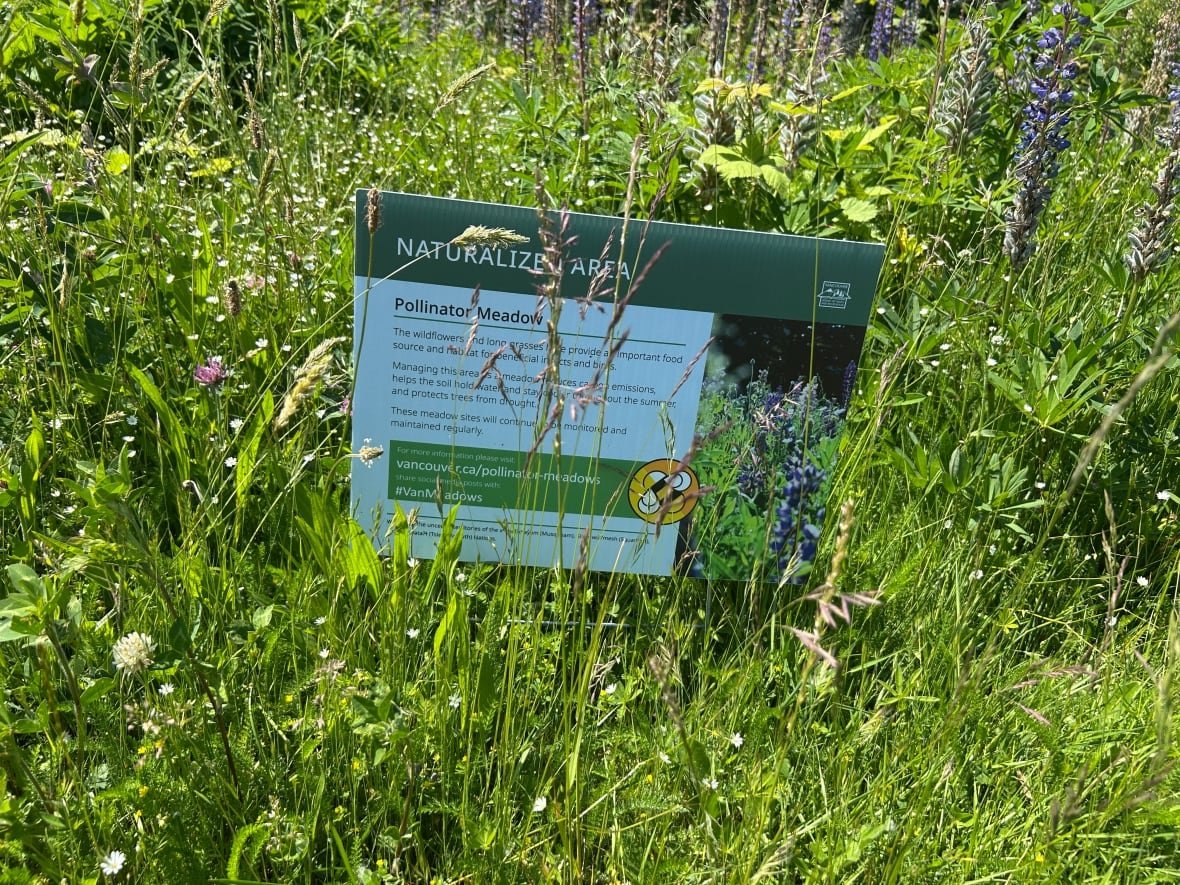 oak-meadows-park-pollinator-meadow Sign in the middle of a meadow.