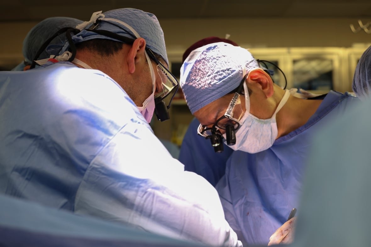 pig-kidney-transplant-1 Massachusetts General Hospital transplant surgeons Dr. Nahel Elias, left, and Dr. Tatsuo Kawai perform the surgery of a transplanted genetically modified pig kidney into a living human, Saturday, March 16, 2024, in Boston, Mass.