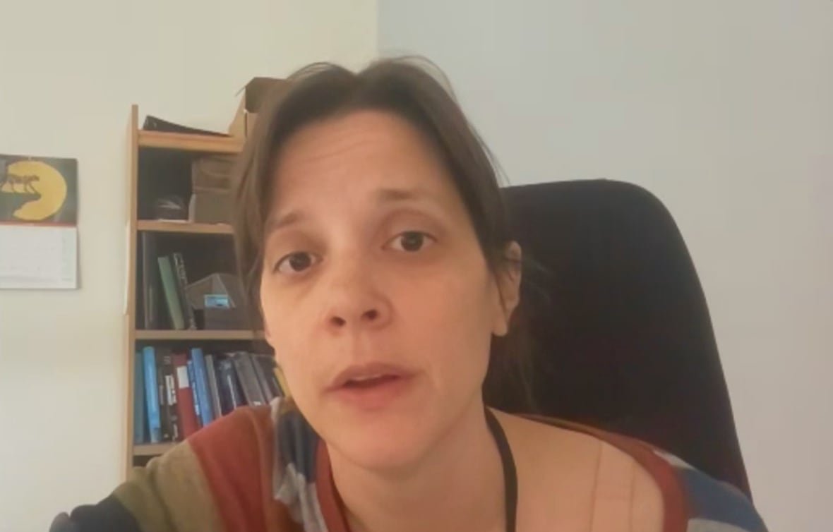 kim-davies A woman with brown hair speaking in front of a bookshelf.