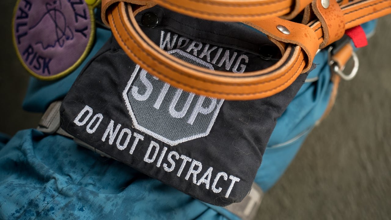 default-131 A service dog harness that says "working. stop. Do not distract."